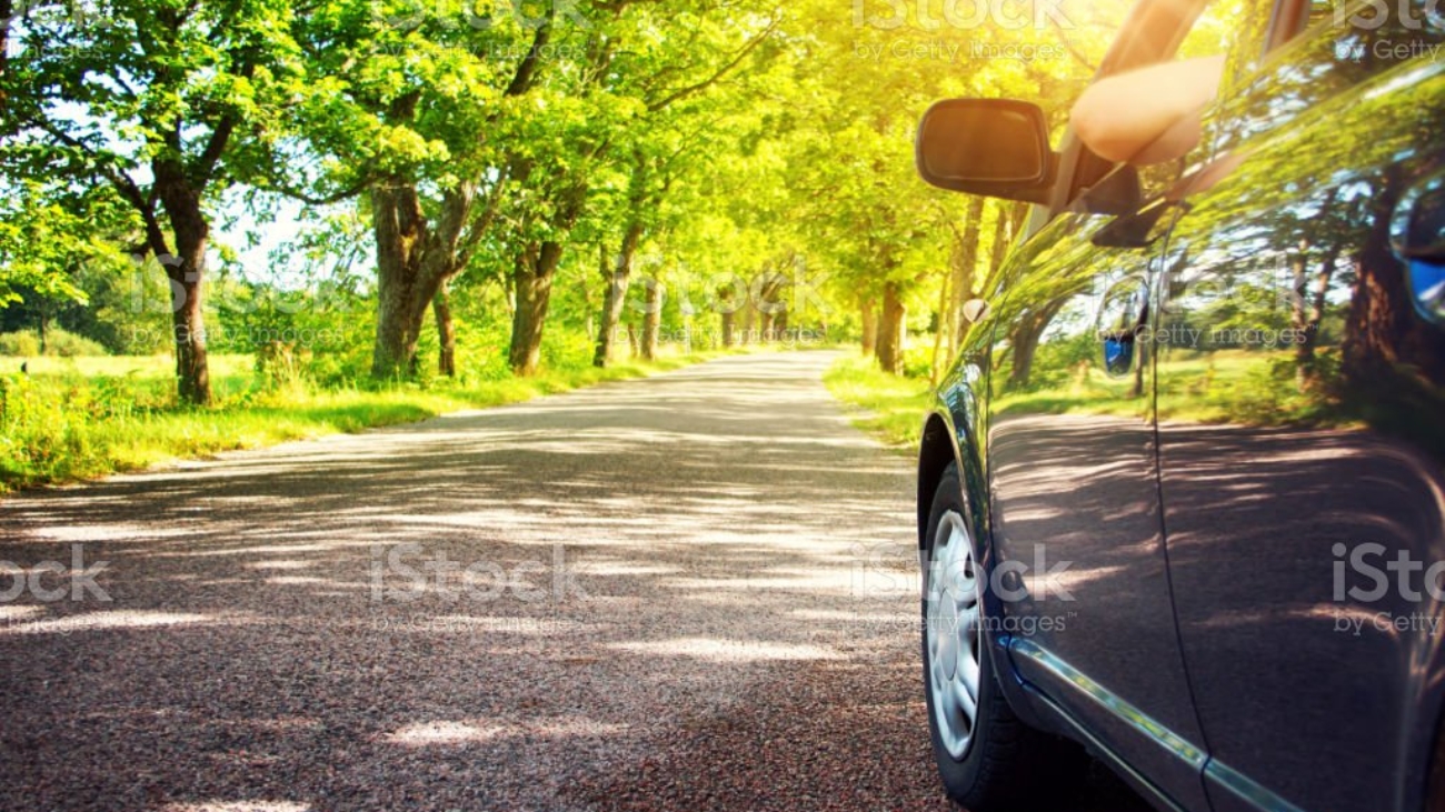 Car on asphalt road on summer day at park