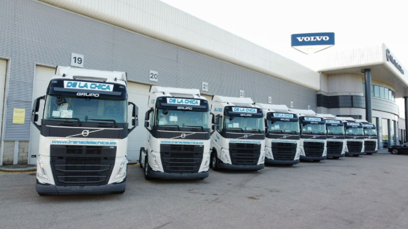 todo lo que necesitas saber sobre el transporte de vehiculos